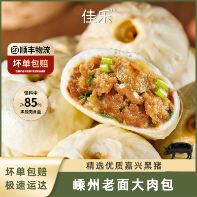 佳乐嵊州小笼包老面黑猪大肉包子纯手工包速冻半成品儿童早餐