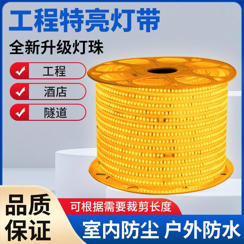 led灯带220v高压户外防水室外工程遂道照明弧形庭院专用超亮灯带