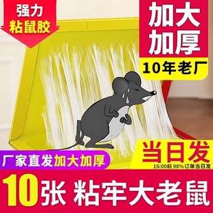 超强力粘鼠板捉粘大老鼠贴沾胶家用室内扑抓逮老鼠粘灭鼠捕鼠神器