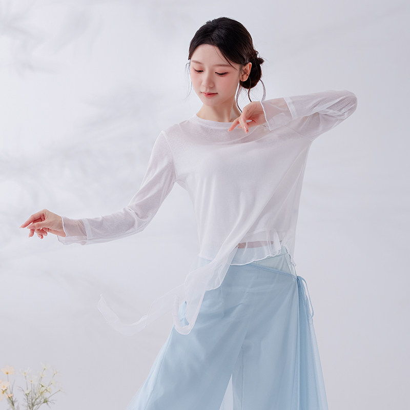 现代舞练功服女仙气宽松网纱上衣现代舞服装