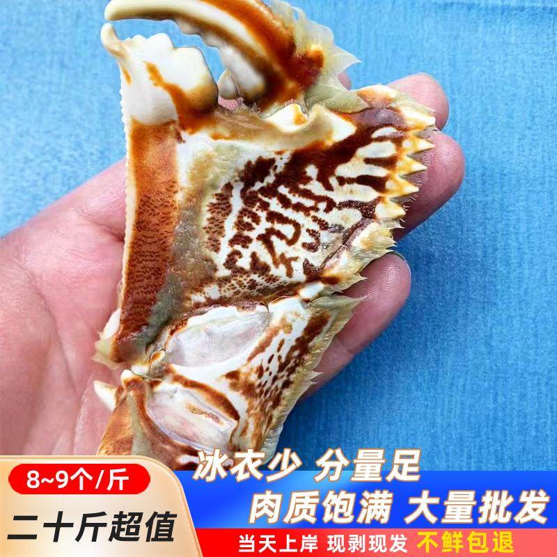 超大号蟹钳20斤.蟹钳新鲜蟹脚元宝蟹钳蟹脚净重16斤