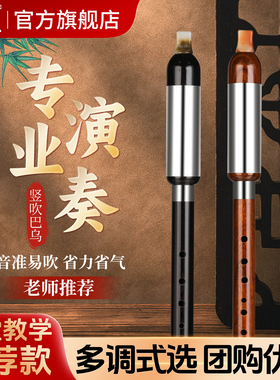 奇美黑木竖吹巴乌小学生专用c调g调降b调DAF调成人儿童初学旗舰店