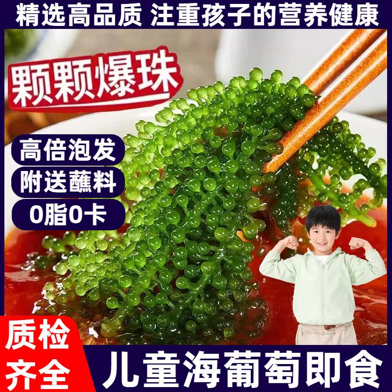 新货儿童海葡萄即食网红新