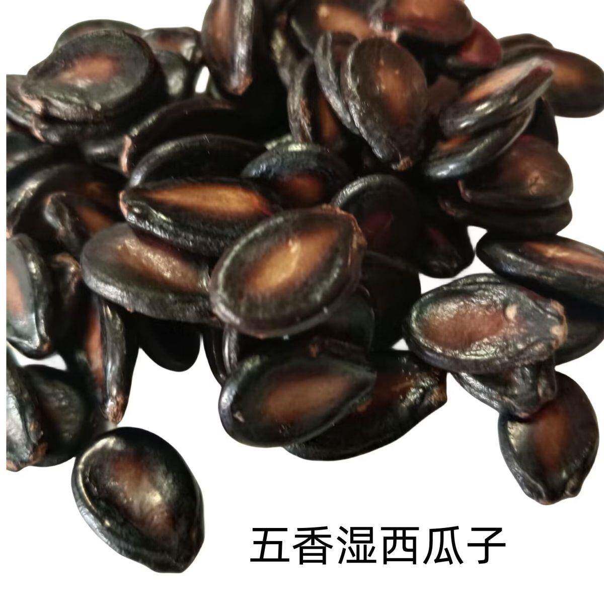 速发现货沙土喝茶瓜子湿西瓜子水煮五香卤制油焖酱西瓜子休闲小吃