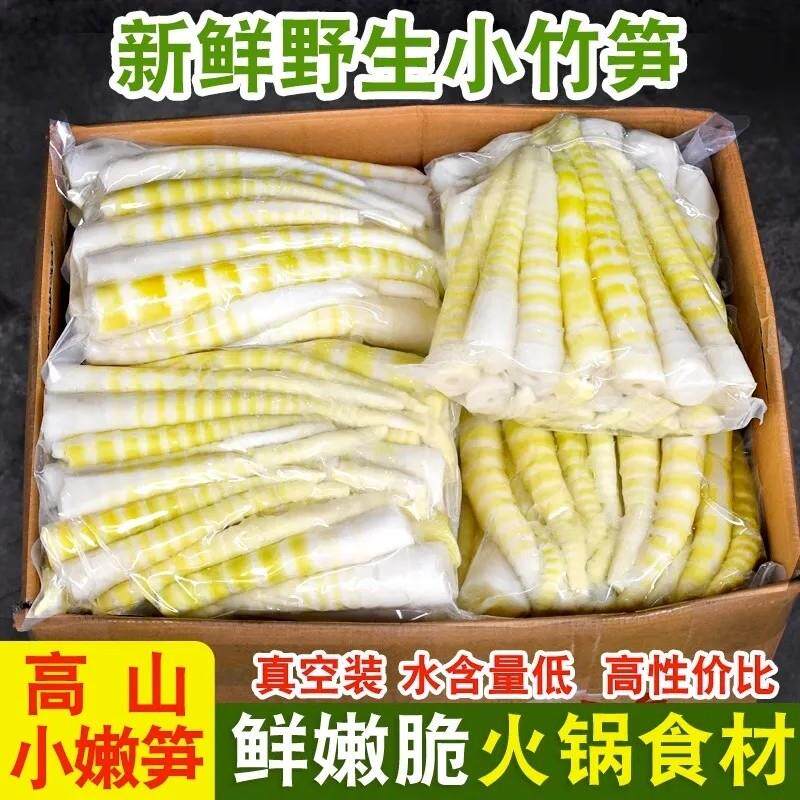 新货竹笋新鲜嫩笋尖小竹笋