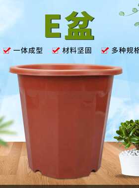 E型红色花盆十二角盆高角塑料花盆e角盆基地发财树育苗种植盆