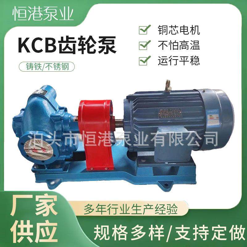 KCB不锈钢齿轮泵香油麻汁输送泵304材质酸性液体输送齿轮油泵,五金/工具,其它泵类型,淘宝优惠券,粉丝福利购,淘宝优惠卷