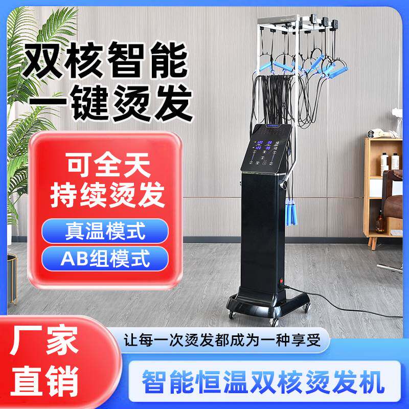 高端智能数码烫发机美发店器理发店专用加热器24V加长杠子