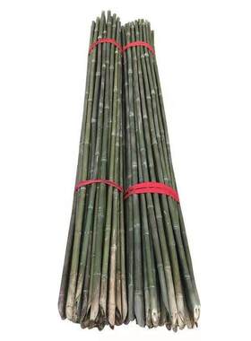 细竹竿棍子搭黄瓜架子四季豆角农用种菜园爬藤辣椒西红柿篱笆围挡