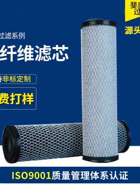 碳纤维活性炭滤芯/阳极电镀/吸附有机污染物/英特格/PALL/大合坊