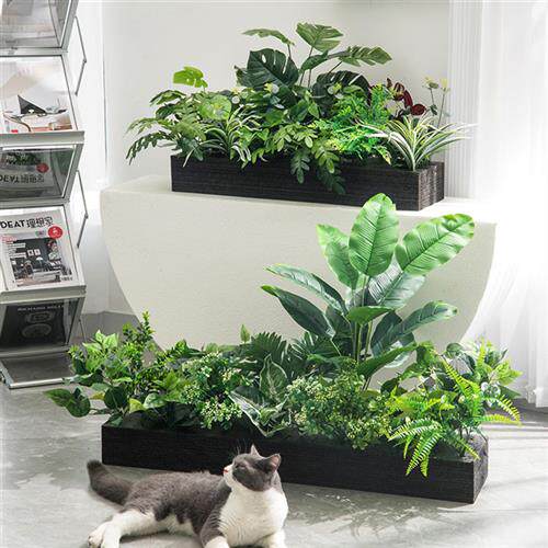 橱窗花箱造景组合龟背造景植物仿真绿植假花仿真花摆设假植物装饰