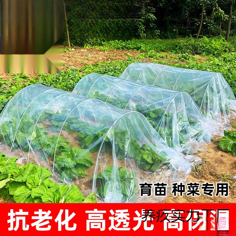 薄膜农用地膜蔬菜养殖小拱棚膜保温种菜防雨秋冬育苗装修防水包邮