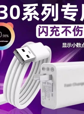 适用vivoS30手机数据线S30超级闪充vⅰⅴoS30mini快速冲v1v0充电线vovo维沃viⅵos20Pro充电器Typec套装插头