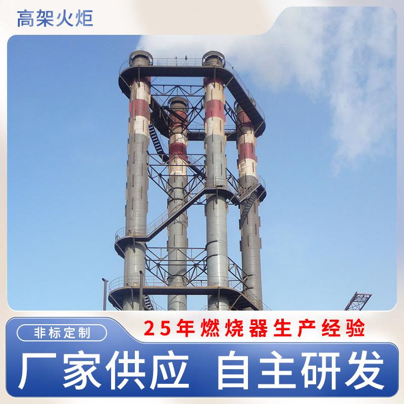 高架火炬钢架结构钢厂焦化厂用塔架支撑高架火炬废气处理设备定制