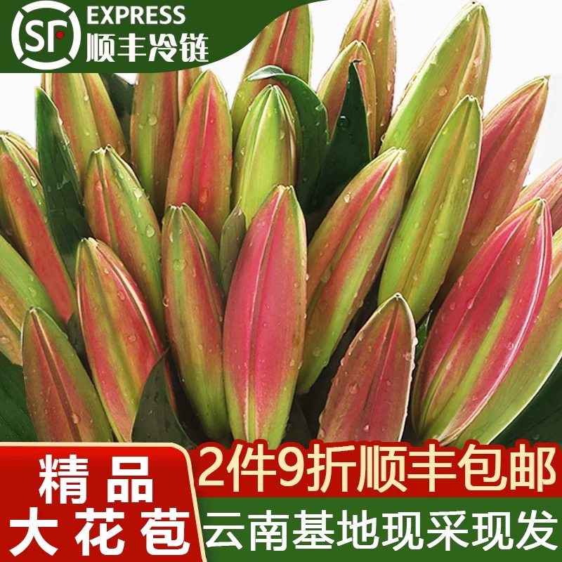 香水百合云南昆明百合花基地真花水养鲜花花束多头百合,鲜花速递/花卉仿真/绿植园艺,花材,淘宝优惠券,粉丝福利购,淘宝优惠卷