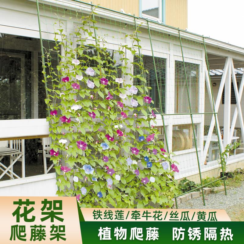 爬藤架园艺支架黄瓜攀爬丝瓜支撑杆藤架阳台户外植物花架靠墙架子