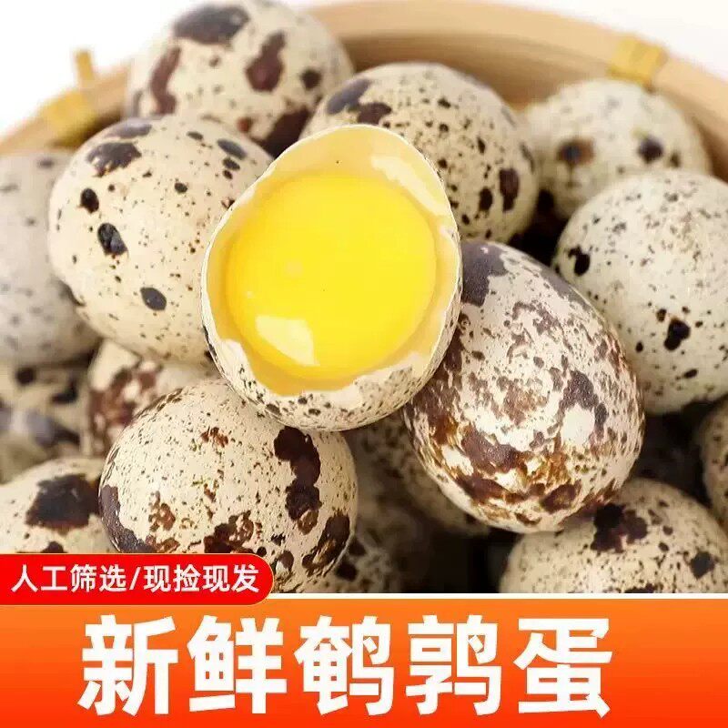 新鲜鹌鹑蛋50枚鹌鹑生蛋农家杂粮喂养小鸟蛋宝宝辅食现捡现发