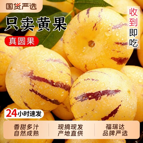云南石林黄心香甜爆汁人参果