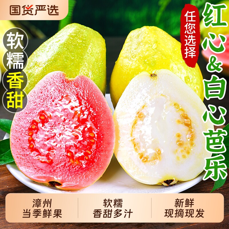 福建红心&白心芭乐新鲜水果5斤番石榴当季软甜奶油胭脂红包邮鲜果