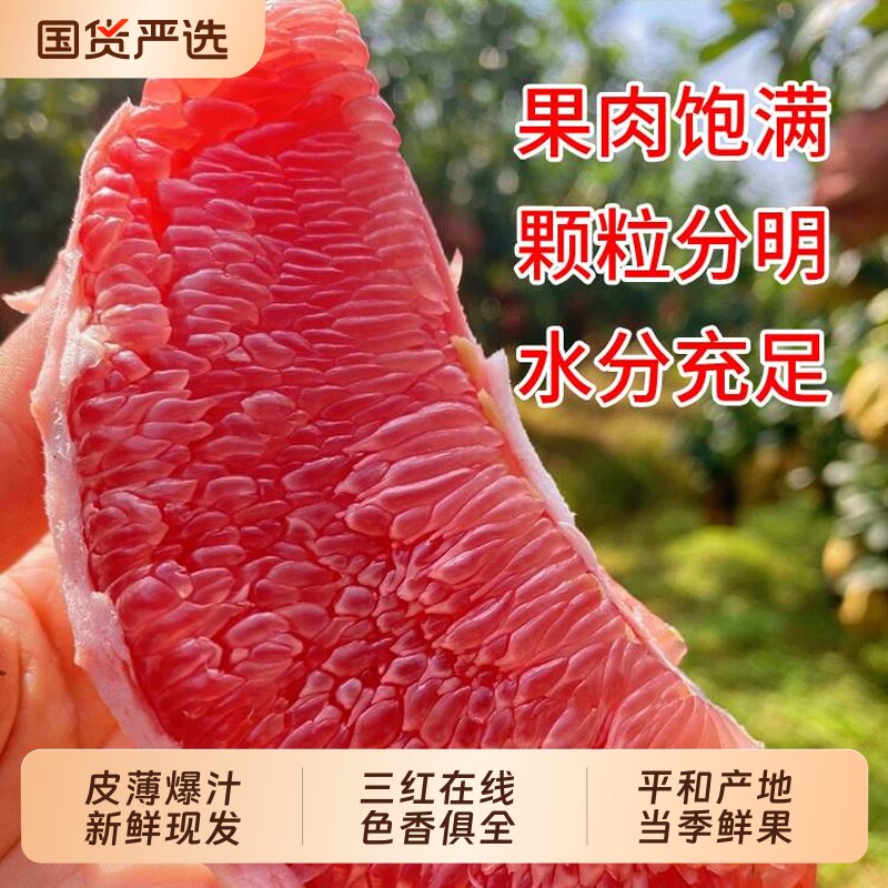 红心柚子平和原产地三红蜜柚新鲜现摘皮薄爆汁自家果园中秋送礼品