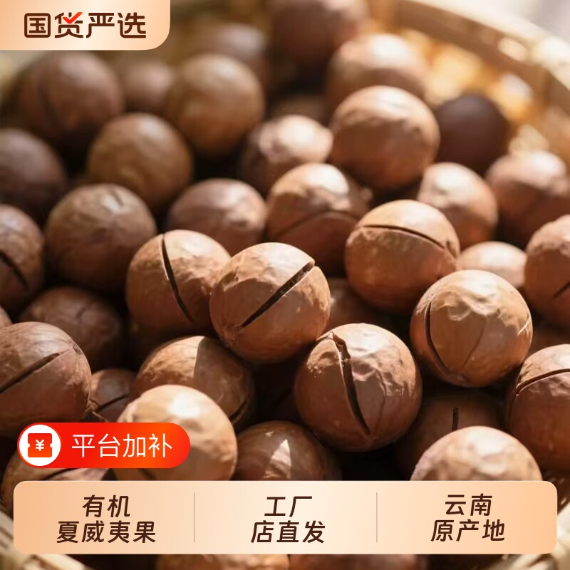 有机新货夏威夷果颗罐装原味坚果炒货健康零食年货大果奶香果仁