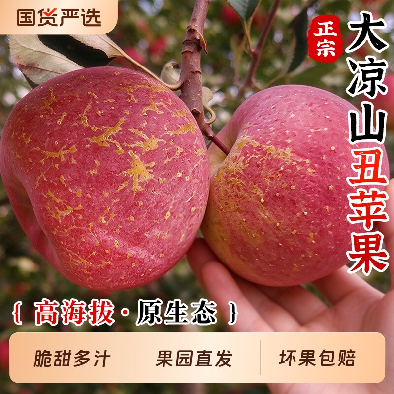 正宗大凉山丑苹果脆甜冰糖心苹果当季新鲜水果现摘整箱红富士大果