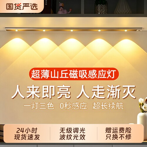 人体感应灯带20CM三色