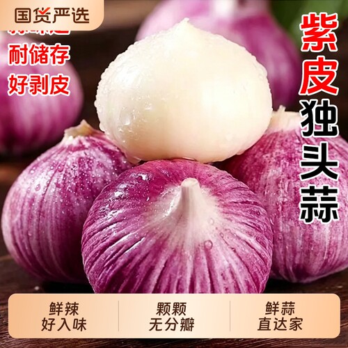 农家独头蒜紫皮2026新蒜现挖5斤大蒜干蒜头批发大蒜红皮独头蒜