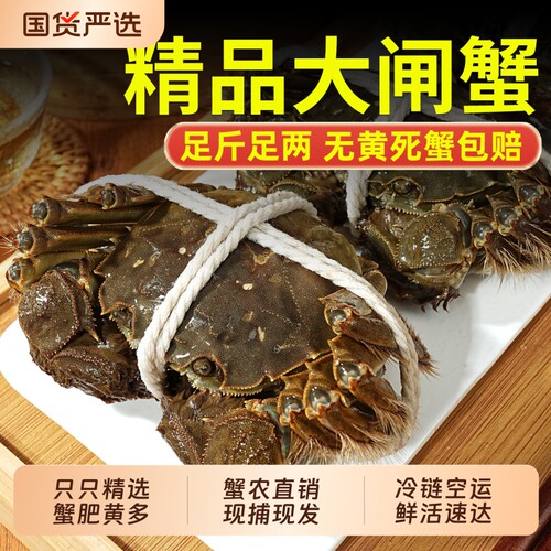 大闸蟹鲜活特大螃蟹全母公河湖蟹海鲜水产苏州发货10只礼盒装特产