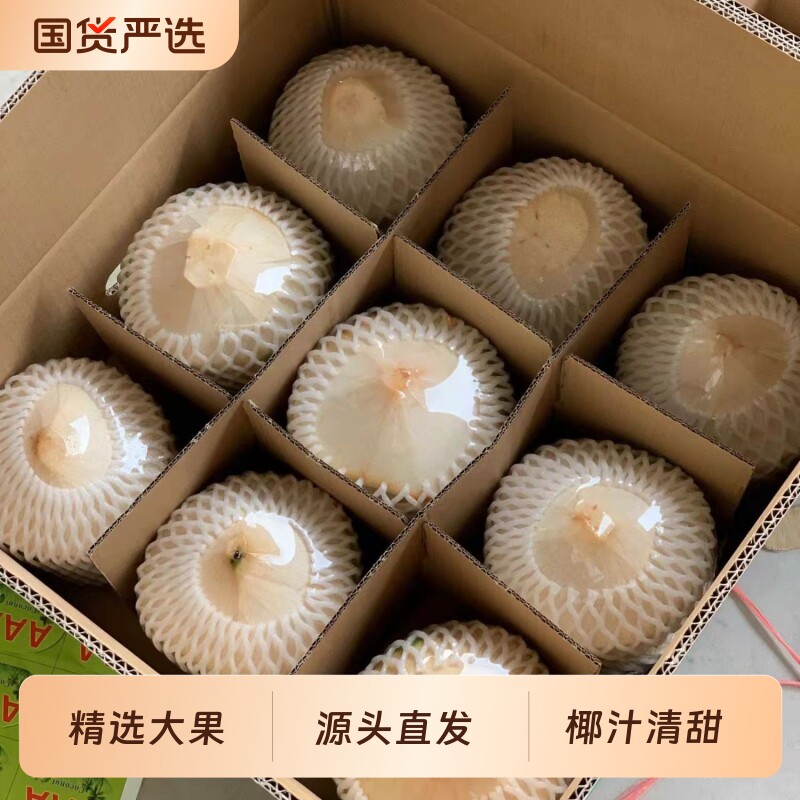 海南椰青新鲜椰子2/4/6/9个装当季水果一整箱特产包邮椰汁源头