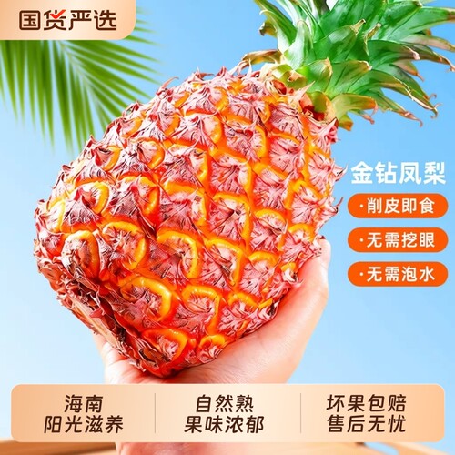 海南直采│金钻凤梨│甜爆了~