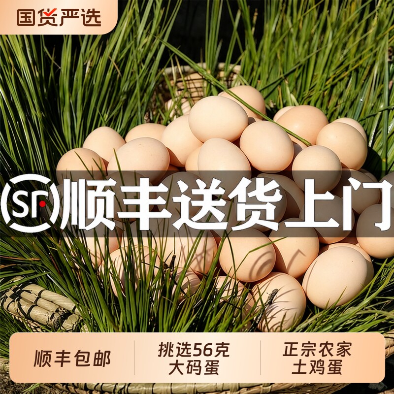 正宗农家散养土鸡蛋大码新鲜农村虫草鸡蛋无抗柴鸡蛋营养笨鸡蛋