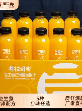 益生菌复合果汁饮料网红调酒送礼