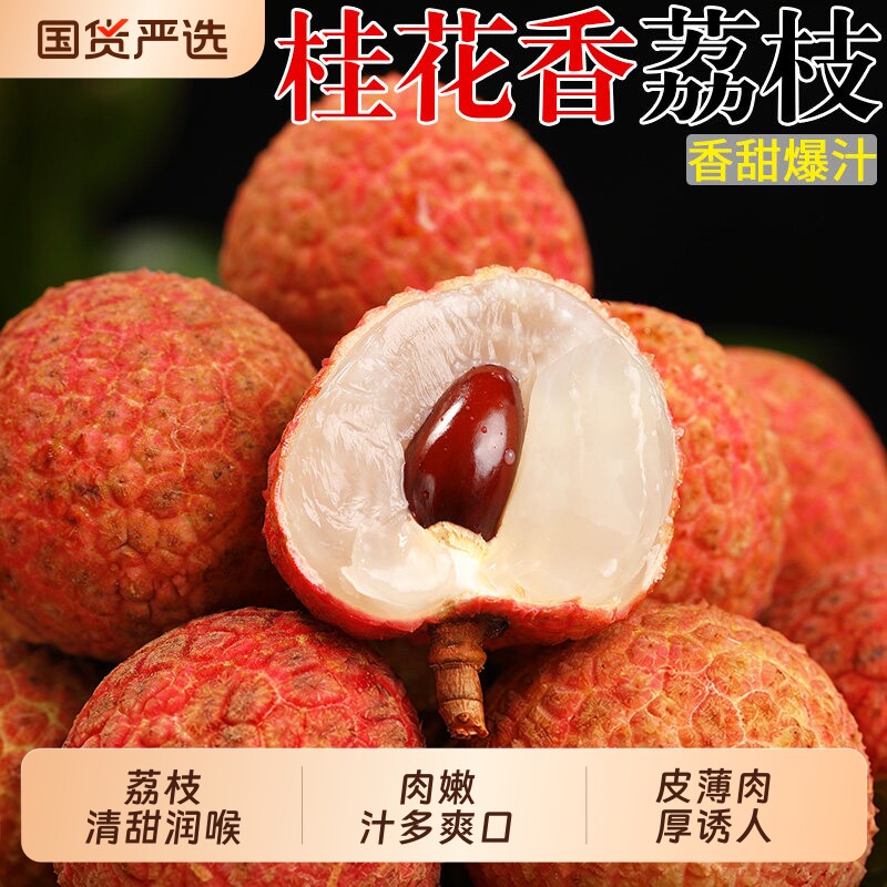 海南桂花香荔枝5斤当季新鲜水果现摘荔枝妃老树大果顺丰京东包邮