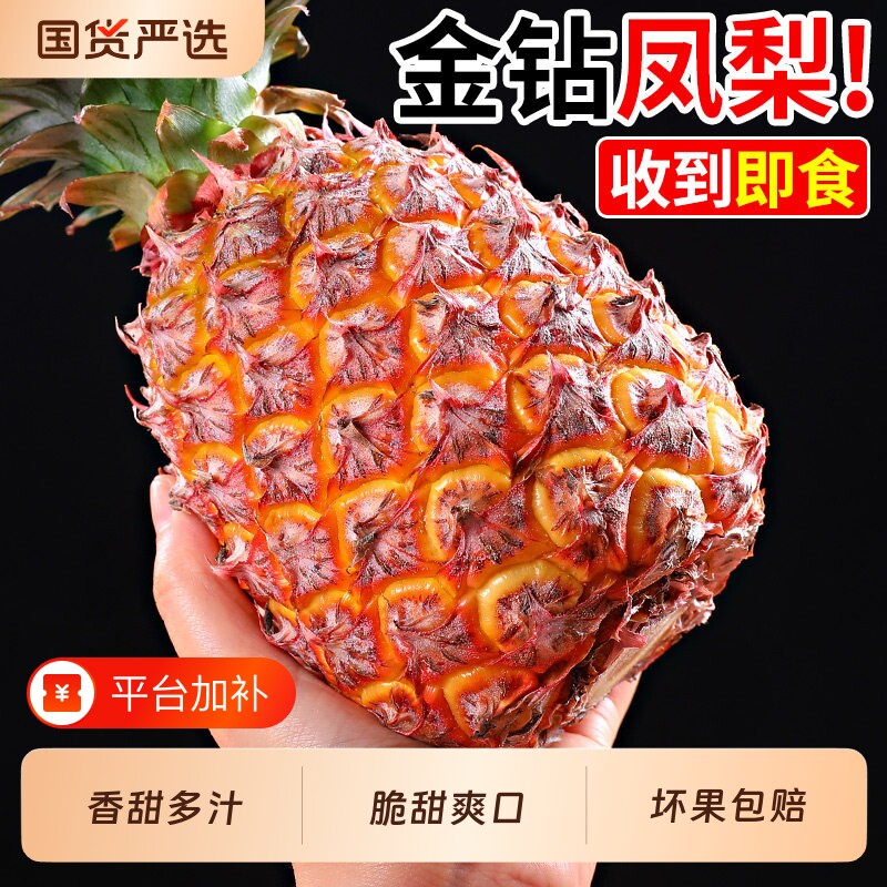 海南金钻凤梨新鲜水果手撕香水菠萝整箱风梨大果无眼特产包邮