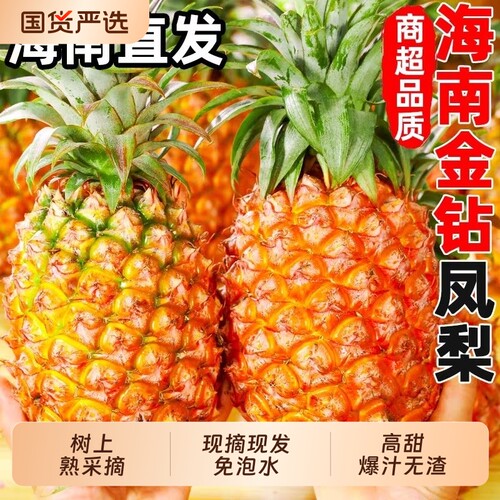 正宗金钻凤梨新鲜水果海南特大果热带包邮产地直发当季手撕凤梨
