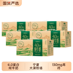 宁夏塞北牧乡纯牛奶4.0蛋白200mlx10盒