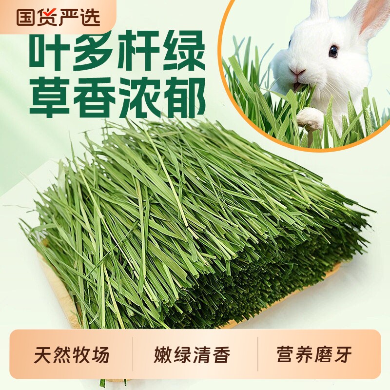 兔兔晒干提摩西草兔子食用草幼兔粮草饲料用品荷兰猪牧草专用饲料
