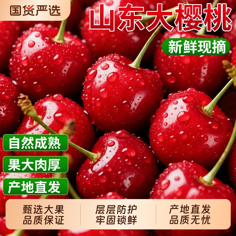 山东大樱桃   新鲜水果当季车厘子应季现摘现发红灯脆甜老品种