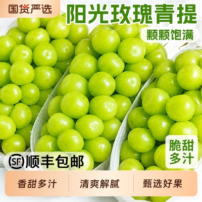 鲜摘阳光玫瑰脆甜多汁顺丰到家