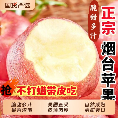 山东烟台红富士苹果脆甜多汁