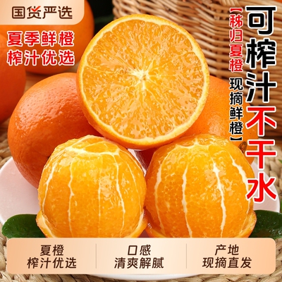 秭归夏橙整箱手剥高山当季甜橙