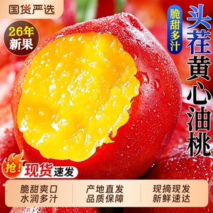 麻点黄心油桃新鲜水果蒙阴当季整箱脆甜可软桃子孕妇蜜脆桃5现摘