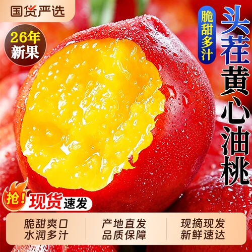 【5斤麻点油桃钜惠】软糯香甜