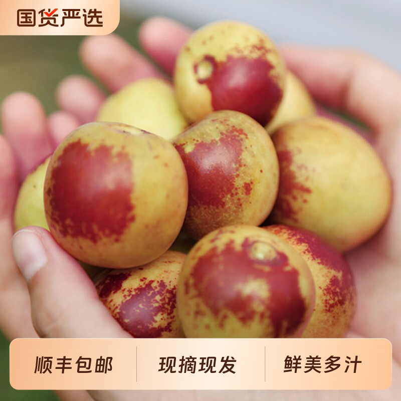 正宗陕西大荔冬枣新鲜大枣枣子水果当季甜脆鲜枣东枣