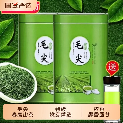 信阳毛尖2026新茶正宗嫩芽尖浓香耐泡型特级高山绿茶好喝罐装500g