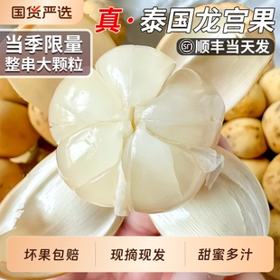 顺丰泰国进口龙宫果当季新鲜热带水果高端龙眼罕见椰色果整箱包邮