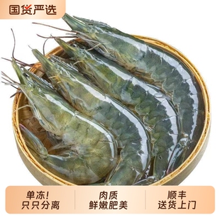鲜活冷冻白虾海捕青岛大虾3斤