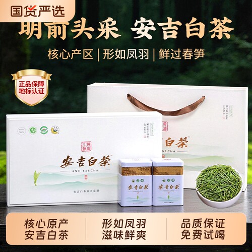 安吉白茶明前春茶特级绿茶