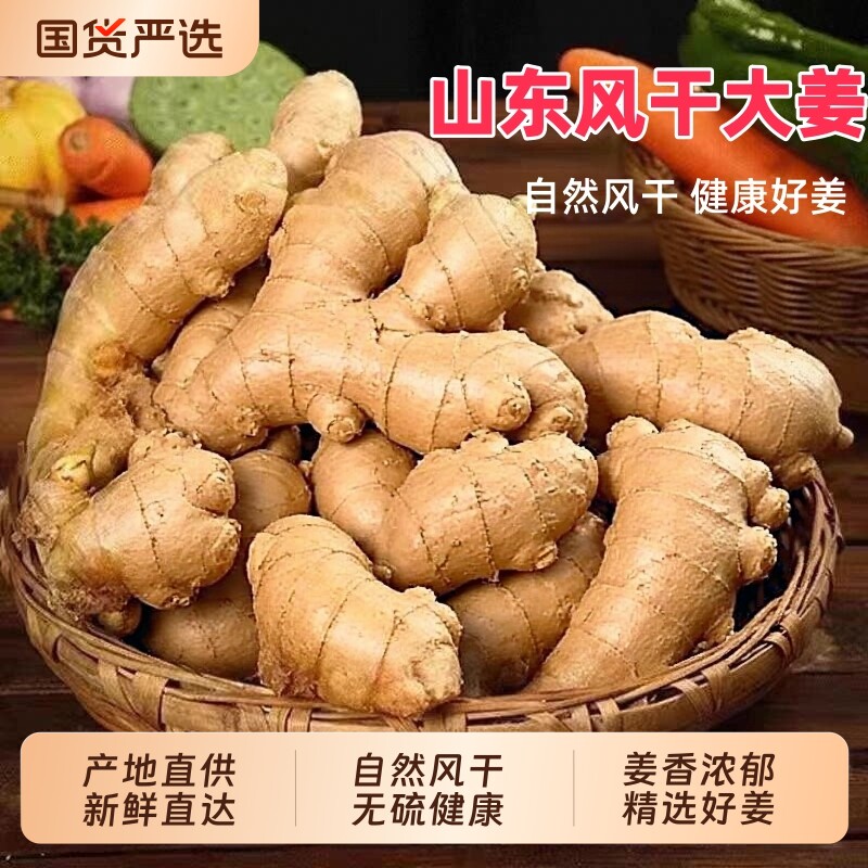 山东大姜老姜生姜农家自种新鲜蔬菜黄姜月子姜无土风干食用姜现发图片
